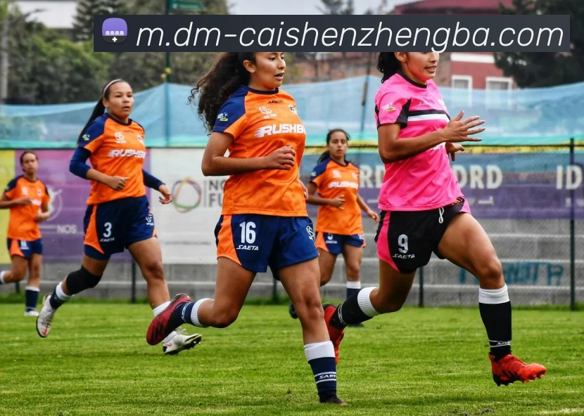 彩神争霸服务体系